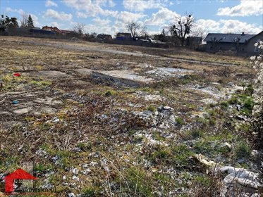 Duża działka 10 000 m² z uzbrojeniem, zapraszam działka Strzelce Opolskie, Adamowice
