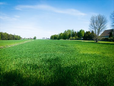 Działka 4180 m² z lasem i mediami – idealna pod dom działka Helenów