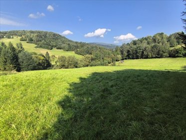działka na sprzedaż 1428m2 działka Szare