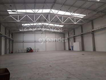 lokal użytkowy na wynajem 831m2 lokal użytkowy Jasionka