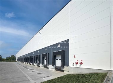 magazyn na wynajem 5000m2 magazyn Całowanie