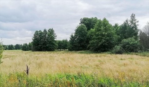 działka na sprzedaż 1083m2 działka Płozy