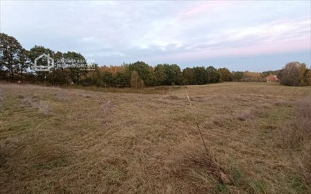 Działka 1070 m² z widokiem na staw i las, cicha okolica działka Skrzeszewo