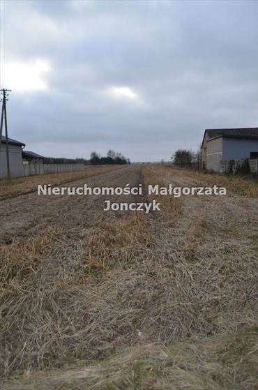 Działka inna na sprzedaż Bilew 11 800m2 Foto 2