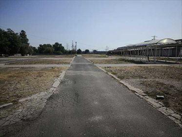 działka na wynajem 6500m2 działka Mysłowice