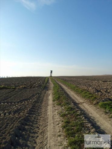 Działka rolna na sprzedaż Babice 7 838m2 Foto 6