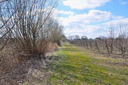 działka na sprzedaż 1183m2 działka Sierosław
