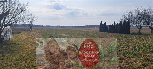 działka na sprzedaż 5172m2 działka Radawiec Mały