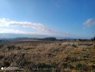 działka na sprzedaż 3000m2 działka Mielnik