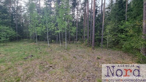 działka na sprzedaż 1783m2 działka Gorczyca