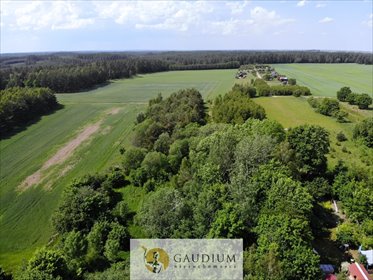 Działka 8 000 m² w Kaszubach - polecam działka Karwno