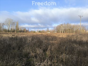 działka na sprzedaż 972m2 działka Mszczonów, Olchowa