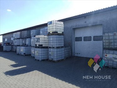 magazyn na wynajem 528m2 magazyn Dorotowo