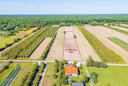 Do sprzedania działka inwestycyjna 5600 m² w Starym Orzechowie działka Stare Orzechowo