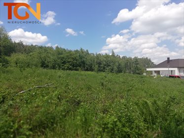Działka budowlana na sprzedaż Dąbrówka 6 891m2 Foto 1