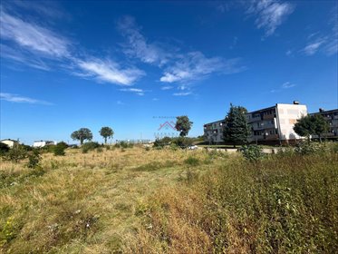 działka na sprzedaż 16000m2 działka Najmowo, Najmowo, najmowo