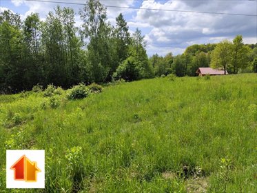 Widokowa działka siedliskowa 4200 m2 z mediami działka Chmielnik