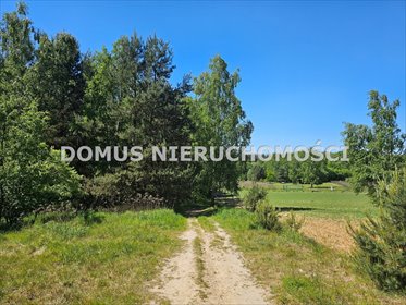 Działka 2ha w Brzezinach – inwestycja lub dom marzeń działka Brzeziny