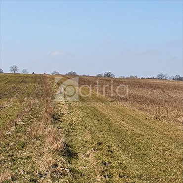 Działka 1092 m² z warunkami zabudowy - polecam działka Poczernin