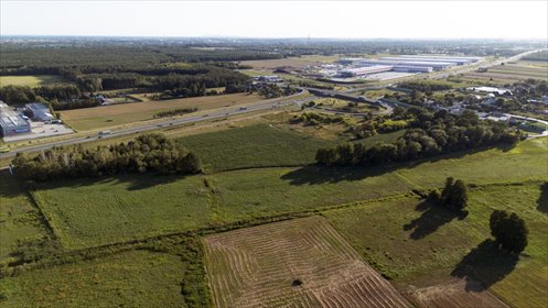 Działka 79 400 m² z projektem magazynowym - inwestycja działka Raków Duży