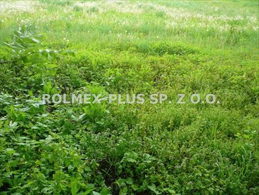 działka na sprzedaż 1529m2 działka Garbów