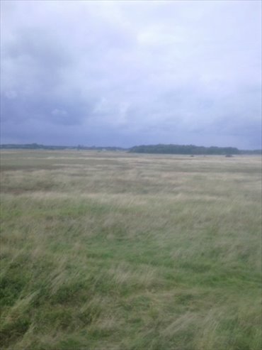 działka na sprzedaż 3000m2 działka Barzowice