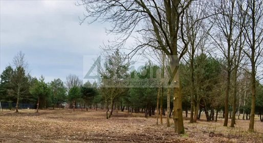 działka na sprzedaż 1000m2 działka Huta Żabiowolska