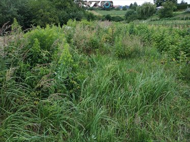 działka na sprzedaż 1900m2 działka Lublin, Węglin, Raszyńska