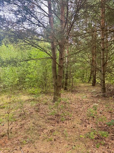 działka na sprzedaż 1615m2 działka Mariew, Wólczyńska