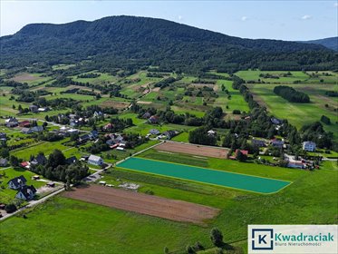 działka na sprzedaż 4842m2 działka Cergowa
