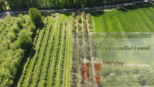 działka na sprzedaż 8700m2 działka Kamień-Kolonia