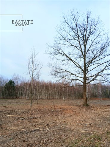 działka na sprzedaż 1908m2 działka Koryta