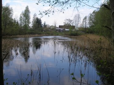 działka na sprzedaż 4769m2 działka Łaniewo