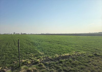 Działka na sprzedaż 1500m2 działka Zaborówek