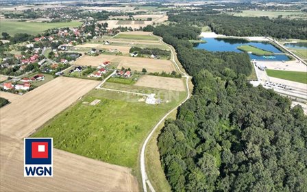 działka na sprzedaż 1997m2 działka Paniowice, Cicha