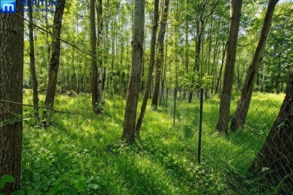 Polecam działkę 940 m² w Owczarni pod dom i inwestycję działka Owczarnia