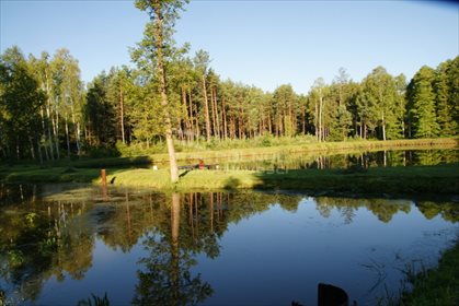 Dom na sprzedaż Cieklińsko 320m2 Foto 4