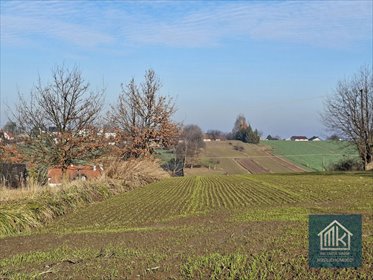 działka na sprzedaż 1014m2 działka Szarów