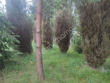 działka na sprzedaż 4200m2 działka Komorów