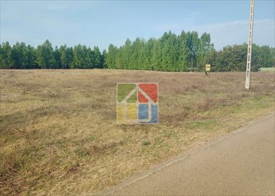 Działka 3,96 ha z lasem, warunki zabudowy, dostęp do drogi działka Górki Pierwsze
