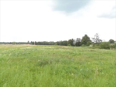 Działka budowlana na sprzedaż Komorowo Żuławskie, Komorowo Żuławskie 2 675m2 Foto 4