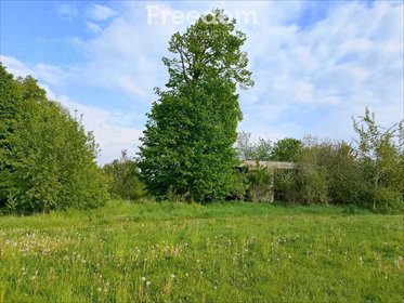 Działka 1222 m² w Tujsku – spokój i bliskość natury działka Tujsk