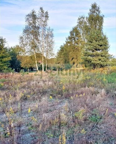 działka na sprzedaż 1604m2 działka Szczęsne