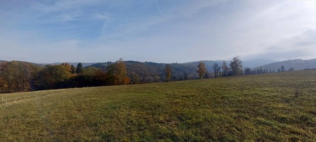działka na sprzedaż 3929m2 działka Zagórze Śląskie