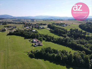 Dom 130m² z garażem i 4,5ha działki (Szalowa) dom Szalowa