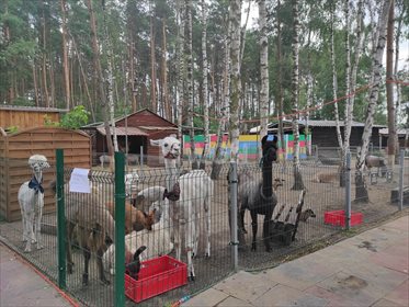Dom na sprzedaż Sątopy, Nowy Tomyśl 170m2 Foto 3