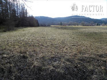 działka na sprzedaż 1000m2 działka Hańczowa