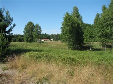 działka na sprzedaż 18300m2 działka Rybakowo