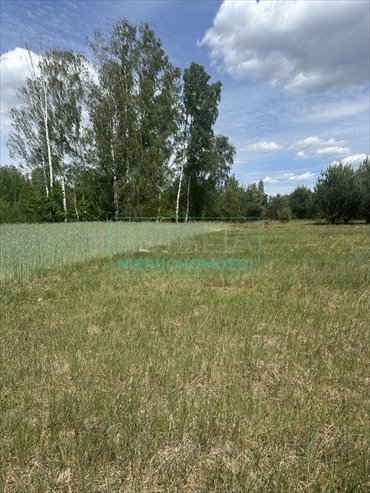 Działka 2100 m² z mediami, las i szybki dojazd do S8 działka Makówka