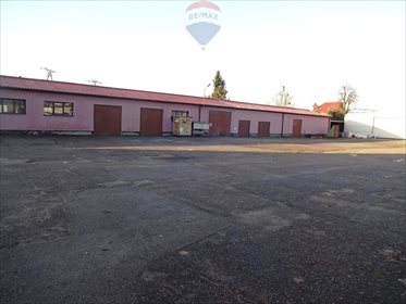 Magazyn na sprzedaż Pasłęk, Sprzymierzonych 3 221m2 Foto 2